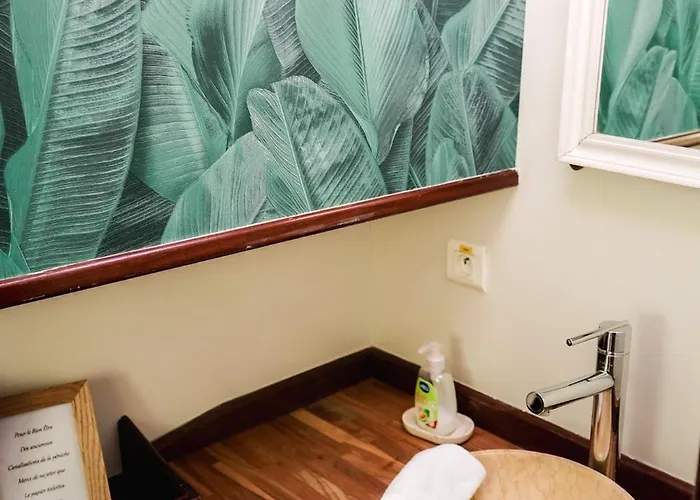 Botel Peniche Dans Le Bassin A Flot Du Vieux Port *