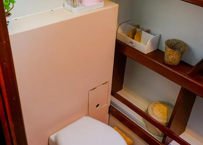 Botel Peniche Dans Le Bassin A Flot Du Vieux Port